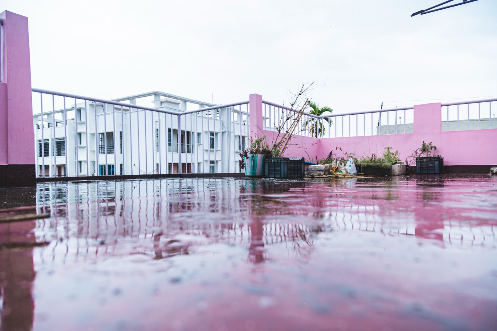 Unfurnished 3bhk in Uday Path, Zoo Tiniali, Guwahati, Assam, India for Rent